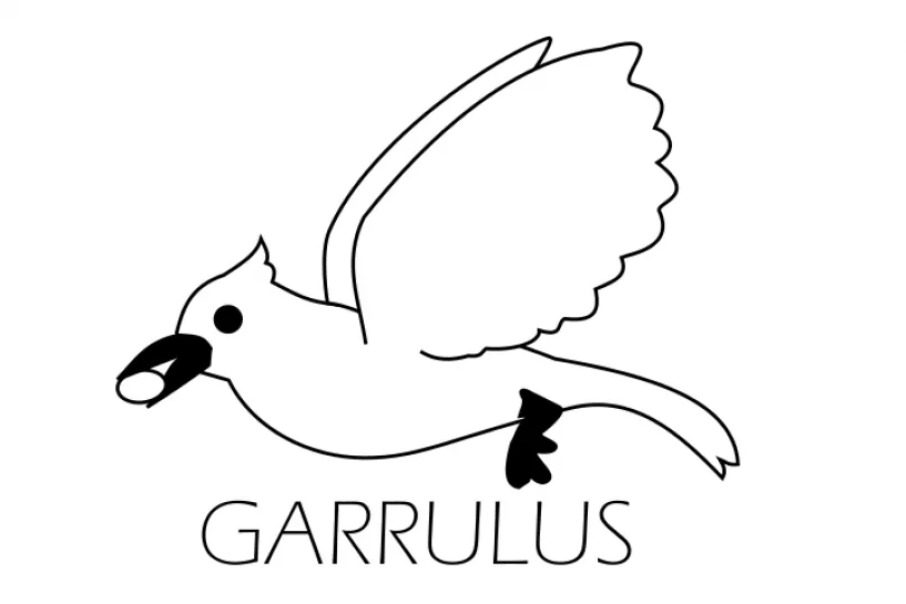 Garrulus Robotics logo